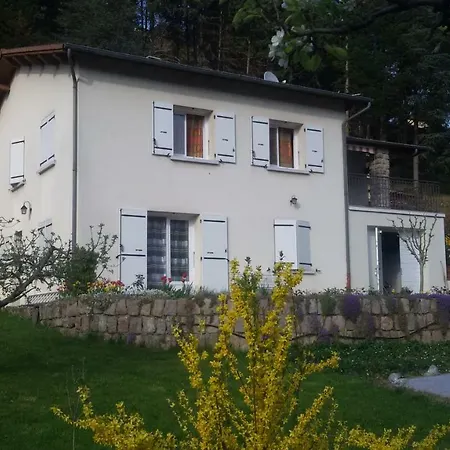 Aurives