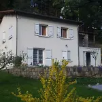 Aurives
